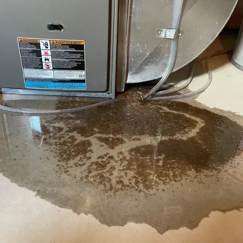 Appliance Leak Cleanup in Hindman, KY